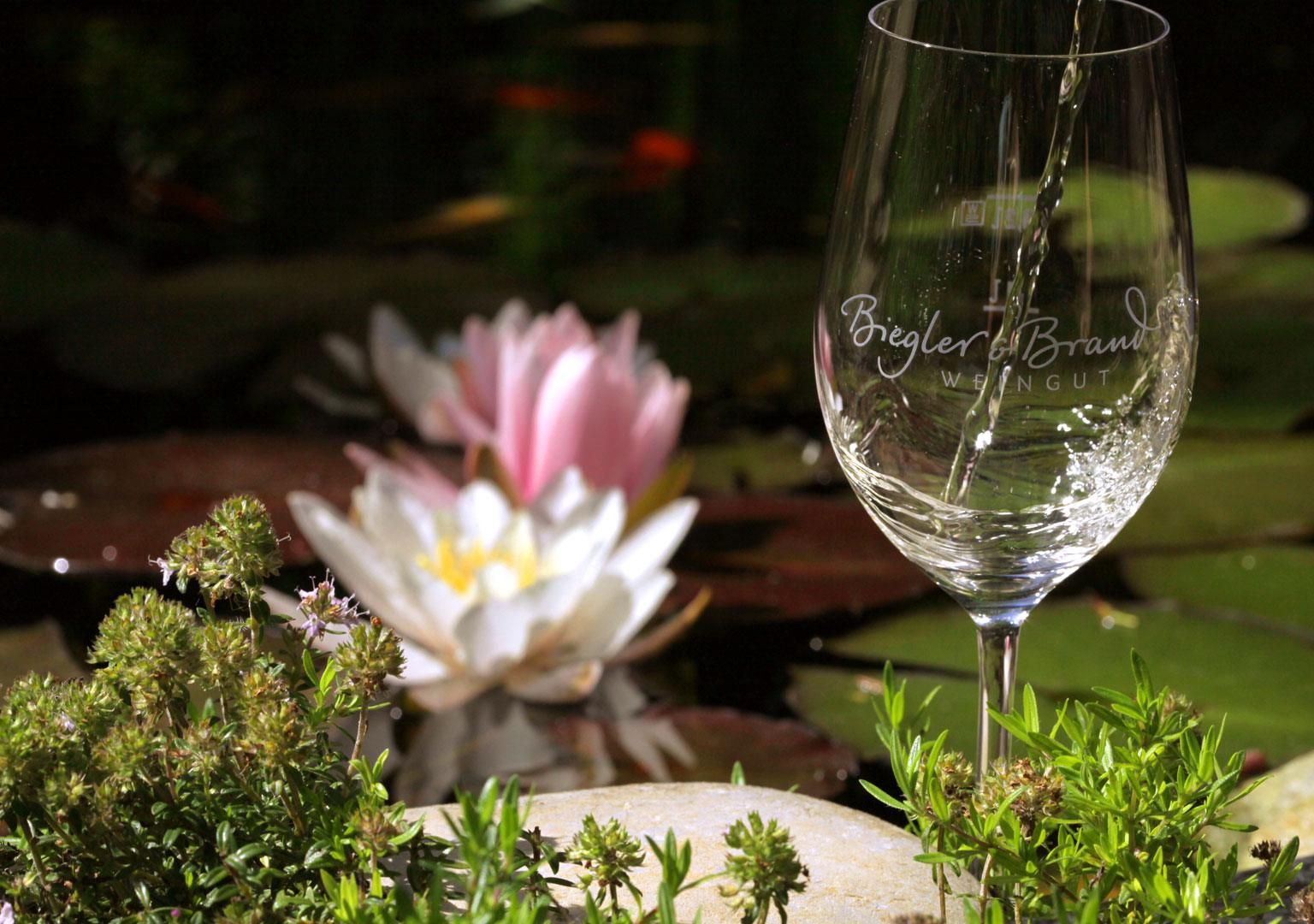 Im Kaisergarten steht ein Glas mit Logo vom Weingut Biegler & Brand auf einem Stein in das Glas wird Weisswein eingeschenkt 